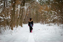 Paseo de la muchacha con el perro a través del bosque en un invierno imagen de archivo Paseo de la muchacha con el perro a través del bosque en un invierno imagen de archivo