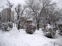 paseo del día de invierno a través del parque nevoso de la ciudad imagen de archivo paseo del día de invierno a través del parque nevoso de la ciudad imagen de archivo