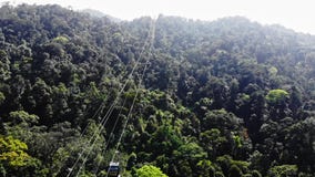 Paseo pov de la góndola del teleférico sobre árboles forestales del pino opini?n del abej?n almacen de metraje de vídeo Paseo pov de la góndola del teleférico sobre árboles forestales del pino opini?n del abej?n almacen de metraje de vídeo