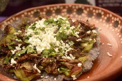 Pasikonika meksykański taco, jadalna insekta tortilla grzanka robić z błękitną kukurudzą i wypełniająca z guacamole, serem i kole zdjęcia royalty free Pasikonika meksykański taco, jadalna insekta tortilla grzanka robić z błękitną kukurudzą i wypełniająca z guacamole, serem i kole zdjęcia royalty free