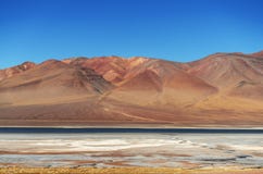 Paso de jama, pimentão de Argentina, desierto de atacama foto de stock royalty free Paso de jama, pimentão de Argentina, desierto de atacama foto de stock royalty free