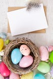 Pasqua ha colorato le uova fotografia stock Pasqua ha colorato le uova fotografia stock