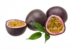 Passiflore comestible de passiflore mûre dans sa peau photographie stock Passiflore comestible de passiflore mûre dans sa peau photographie stock