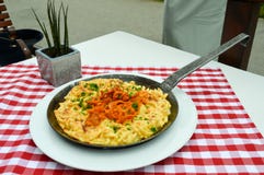 Pasta with cheese and fried onions royalty free stock photography Pasta with cheese and fried onions royalty free stock photography