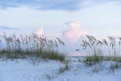 Pastel Sunset At Florida Beach Scene With Sea Oats And Soft Colo Stock Photos