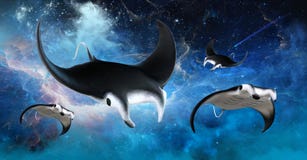 Pastenague volante de Manta d'espace extra-atmosphérique illustration libre de droits Pastenague volante de Manta d'espace extra-atmosphérique illustration libre de droits