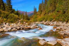 Pastoral in the Alpine mountain valley stock image Pastoral in the Alpine mountain valley stock image