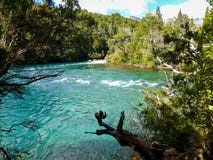Patagonian ποταμός στο δάσος στοκ φωτογραφία με δικαίωμα ελεύθερης χρήσης Patagonian ποταμός στο δάσος στοκ φωτογραφία με δικαίωμα ελεύθερης χρήσης