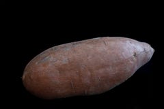 Patate douce organique sur le fond noir images stock Patate douce organique sur le fond noir images stock