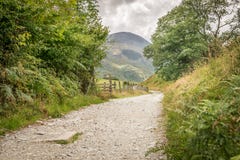 A path leading through a field toward forest and mountains. stock photos A path leading through a field toward forest and mountains. stock photos