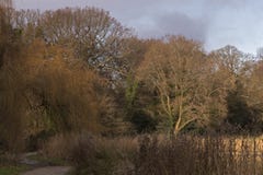 The pathway beside the Ornamental Pond royalty free stock photography The pathway beside the Ornamental Pond royalty free stock photography