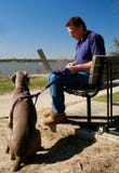Patience - Dog waits for man working on laptop