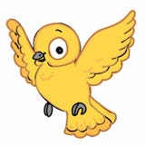 Pattern Cute Bird Flying Illustration Drawing Color And