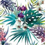 Pattern Orchid Hibiscus Leaves Watercolor Tropics Royalty Free Stock Image Pattern Orchid Hibiscus Leaves Watercolor Tropics Royalty Free Stock Image