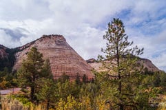 The pattern in stone of Checkerboard Mesa ,Zion National Park. royalty free stock photo The pattern in stone of Checkerboard Mesa ,Zion National Park. royalty free stock photo