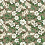 Pattern with watercolor apple flowers vector illustration Pattern with watercolor apple flowers vector illustration