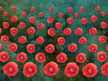 Patterned Poppies Collage on Textured Background Stock Photography Patterned Poppies Collage on Textured Background Stock Photography