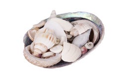 Paua dieshell met overzeese shells wordt gevuld Stock Foto's Paua dieshell met overzeese shells wordt gevuld Stock Foto's