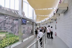 Pavilhão gigante da panda de Macao imagem de stock Pavilhão gigante da panda de Macao imagem de stock