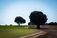 Paysage avec la route dans la courbe images stock Paysage avec la route dans la courbe images stock
