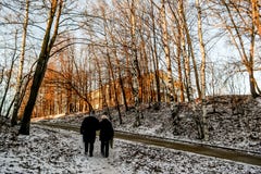 Paysage avec le début de la matinée de marche de deux personnes image stock Paysage avec le début de la matinée de marche de deux personnes image stock