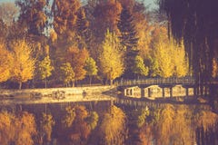 Paysage d'automne en parc de matin Vue des arbres colorés et de la réflexion dans l'eau Image stock Paysage d'automne en parc de matin Vue des arbres colorés et de la réflexion dans l'eau Image stock