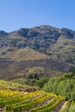 Paysage de Franschhoek photo stock Paysage de Franschhoek photo stock