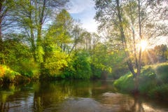 Paysage de matin de rivière Le soleil lumineux sur la rive d'été Nature vibrante scénique images stock Paysage de matin de rivière Le soleil lumineux sur la rive d'été Nature vibrante scénique images stock