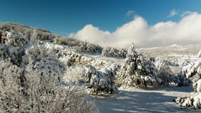 Paysage de montagne de calme d'hiver avec de beaux arbres se givrants projectile Vue supérieure du paysage accidenté en hiver banque de vidéos Paysage de montagne de calme d'hiver avec de beaux arbres se givrants projectile Vue supérieure du paysage accidenté en hiver banque de vidéos