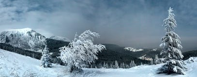 Paysage de montagne d'hiver de nuit dans le clair de lune de pleine lune Photographie stock Paysage de montagne d'hiver de nuit dans le clair de lune de pleine lune Photographie stock