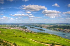 Paysage de vignoble avec le Rhin, Ruedesheim dans Hesse, Allemagne image stock Paysage de vignoble avec le Rhin, Ruedesheim dans Hesse, Allemagne image stock