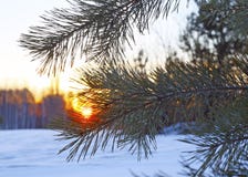 Paysage majestueux d'hiver rougeoyant par lumière du soleil pendant le matin photo libre de droits Paysage majestueux d'hiver rougeoyant par lumière du soleil pendant le matin photo libre de droits