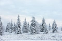Paysage neigeux féerique de Noël d'hiver photo stock Paysage neigeux féerique de Noël d'hiver photo stock