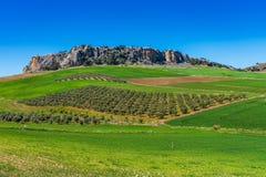 Paysage près de Cuevas del Becerro dans la province Malaga, Andalousie, Espagne photos stock Paysage près de Cuevas del Becerro dans la province Malaga, Andalousie, Espagne photos stock