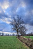 Paysage rural, champ avec des arbres près d'un fossé avec les nuages dramatiques au crépuscule, Weelde, Flandre, Belgique photo stock Paysage rural, champ avec des arbres près d'un fossé avec les nuages dramatiques au crépuscule, Weelde, Flandre, Belgique photo stock