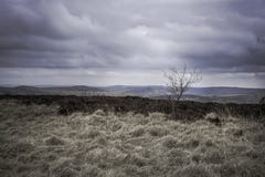Paysage scénique de parc national de secteur maximal, Derbyshire, R-U images libres de droits Paysage scénique de parc national de secteur maximal, Derbyshire, R-U images libres de droits
