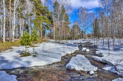 Paysage tôt de ressort dans la forêt avec la neige et le ruisseau de fonte photos stock Paysage tôt de ressort dans la forêt avec la neige et le ruisseau de fonte photos stock
