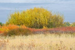 Paysages naturels Autumn Landscape Banlieues de la ville, brigh photo stock Paysages naturels Autumn Landscape Banlieues de la ville, brigh photo stock