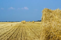 Paysages ruraux de la Toscane, Italie, l'Europe, Rolls des meules de foin sur le champ Paysage de ferme d'été avec la meule de fo photo stock Paysages ruraux de la Toscane, Italie, l'Europe, Rolls des meules de foin sur le champ Paysage de ferme d'été avec la meule de fo photo stock