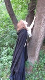 Paysan recherchant un arbre photo stock Paysan recherchant un arbre photo stock