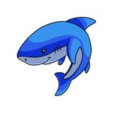 Peaceful cute blue white shark waiting fish food royalty free illustration Peaceful cute blue white shark waiting fish food royalty free illustration