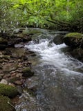 Peaceful riverbank small waterfall royalty free stock images Peaceful riverbank small waterfall royalty free stock images