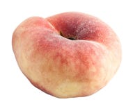 peach unusual poinsettia colored shape