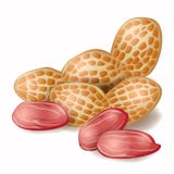 Peanuts Royalty Free Stock Images Peanuts Royalty Free Stock Images