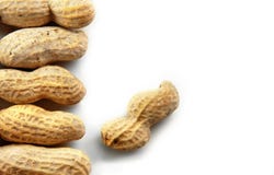 Peanuts On White Background Stock Photos Peanuts On White Background Stock Photos