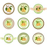Pear labels. Fruits labels collection. Colorfull variant.Fresh vegetables vector concept. Stock Photos Pear labels. Fruits labels collection. Colorfull variant.Fresh vegetables vector concept. Stock Photos