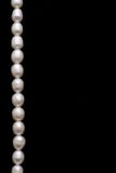 Pearl Necklace Stock Image
