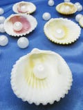 Pearls In Sea Shells On Blue Background Stock Images Pearls In Sea Shells On Blue Background Stock Images