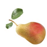 Pears isolated on white stock image Pears isolated on white stock image