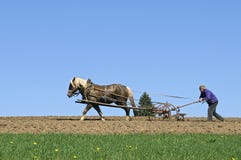 Farmer plowing with horse and plow, Germany